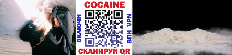 Купить где  Сокол  COCAIN FishScale 