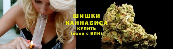 PSILOCYBIN Аркадак