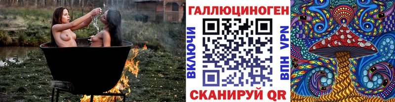 Купить где Сокол Псилоцибиновые грибы Psilocybe